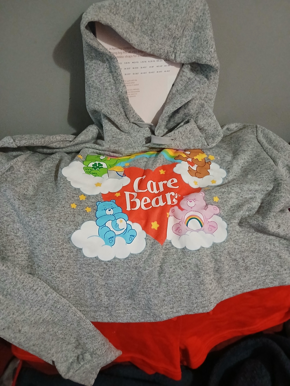 Care Bears Gray Hoodie with Red Shorts With Colorful Graphic